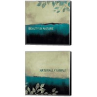 Framed Beauty in Nature 2 Piece Canvas Print Set