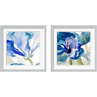 Framed 'Delicate Blue 2 Piece Framed Art Print Set' border=