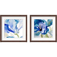 Framed Delicate Blue 2 Piece Framed Art Print Set