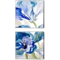 Framed 'Delicate Blue 2 Piece Canvas Print Set' border=