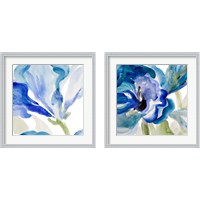 Framed 'Delicate Blue 2 Piece Framed Art Print Set' border=