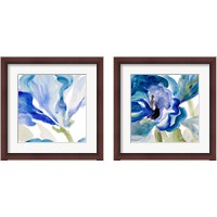 Framed Delicate Blue 2 Piece Framed Art Print Set