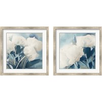 Framed White Roses 2 Piece Framed Art Print Set