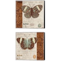Framed 'Butterfly on Display 2 Piece Canvas Print Set' border=