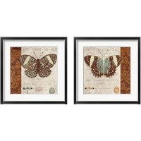 Framed 'Butterfly on Display 2 Piece Framed Art Print Set' border=