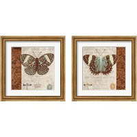 Framed 'Butterfly on Display 2 Piece Framed Art Print Set' border=