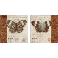 Framed 'Butterfly on Display 2 Piece Art Print Set' border=