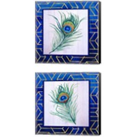 Framed Peacock Feather 2 Piece Canvas Print Set
