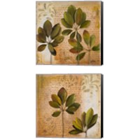 Framed Botanica 2 Piece Canvas Print Set