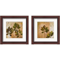 Framed Botanica 2 Piece Framed Art Print Set