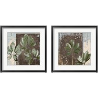 Framed 'Botanica on Blue 2 Piece Framed Art Print Set' border=