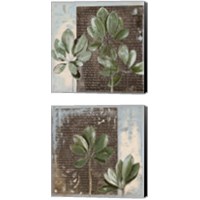 Framed 'Botanica on Blue 2 Piece Canvas Print Set' border=