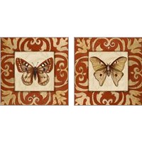 Framed 'Moroccan Butterfly 2 Piece Art Print Set' border=