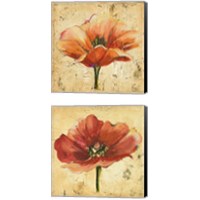 Framed 'Poppy 2 Piece Canvas Print Set' border=