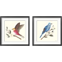 Framed 'Birds and Blossoms 2 Piece Framed Art Print Set' border=