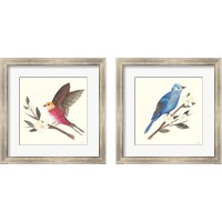 Framed 'Birds and Blossoms 2 Piece Framed Art Print Set' border=