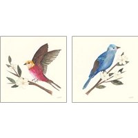 Framed 'Birds and Blossoms 2 Piece Art Print Set' border=