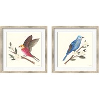 Framed Birds and Blossoms 2 Piece Framed Art Print Set