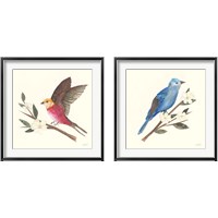 Framed Birds and Blossoms 2 Piece Framed Art Print Set