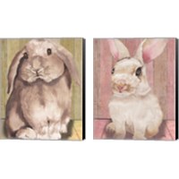 Framed 'Bunny  2 Piece Canvas Print Set' border=