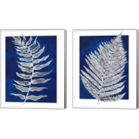 Framed 'Blue Fern in White Border 2 Piece Canvas Print Set' border=