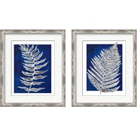 Framed 'Blue Fern in White Border 2 Piece Framed Art Print Set' border=