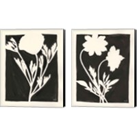Framed Joyful Spring Black 2 Piece Canvas Print Set