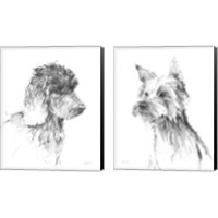 Framed 'Traditional Dog Sketch 2 Piece Canvas Print Set' border=