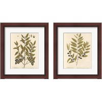 Framed 'Olive Branch 2 Piece Framed Art Print Set' border=