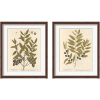 Framed 'Olive Branch 2 Piece Framed Art Print Set' border=