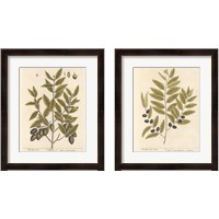 Framed 'Olive Branch 2 Piece Framed Art Print Set' border=