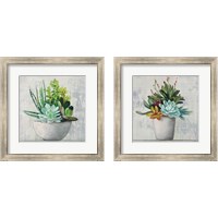 Framed 'Succulent Still Life 2 Piece Framed Art Print Set' border=