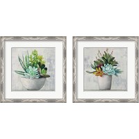 Framed Succulent Still Life 2 Piece Framed Art Print Set