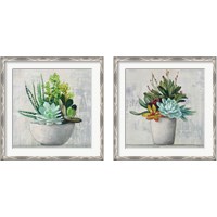 Framed Succulent Still Life 2 Piece Framed Art Print Set