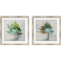 Framed 'Succulent Still Life 2 Piece Framed Art Print Set' border=