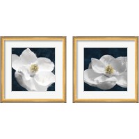 Framed 'Painted Magnolia 2 Piece Framed Art Print Set' border=