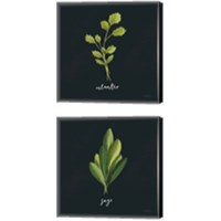 Framed 'Herbs 2 Piece Canvas Print Set' border=