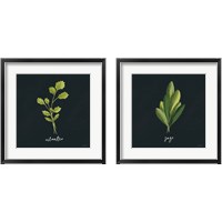 Framed Herbs 2 Piece Framed Art Print Set