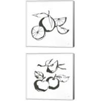 Framed 'Black & White Fruit 2 Piece Canvas Print Set' border=