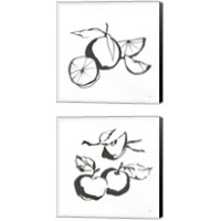 Framed 'Black & White Fruit 2 Piece Canvas Print Set' border=