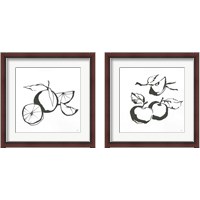Framed Black & White Fruit 2 Piece Framed Art Print Set