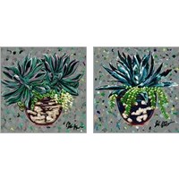 Framed 'Succulent Pot 2 Piece Art Print Set' border=