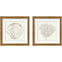 Framed Coastal Breeze Sketches Silver 2 Piece Framed Art Print Set