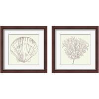 Framed Coastal Breeze Sketches Silver 2 Piece Framed Art Print Set