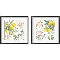 Framed Citrus Charm 2 Piece Framed Art Print Set