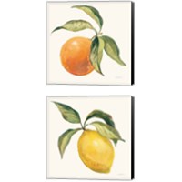 Framed 'Le Citron & Orange on Cream 2 Piece Canvas Print Set' border=
