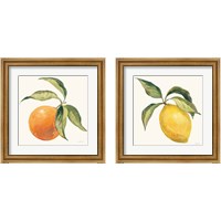 Framed Le Citron & Orange on Cream 2 Piece Framed Art Print Set