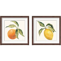 Framed 'Le Citron & Orange on Cream 2 Piece Framed Art Print Set' border=