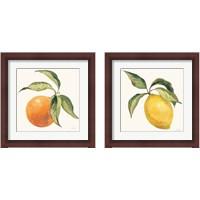 Framed Le Citron & Orange on Cream 2 Piece Framed Art Print Set