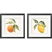 Framed Le Citron & Orange on Cream 2 Piece Framed Art Print Set